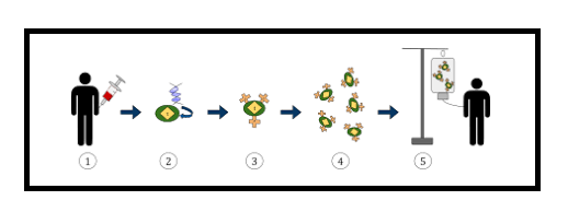 Car T-cell Therapy